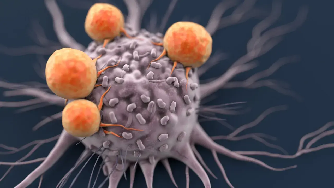Anti Cancer Therapy