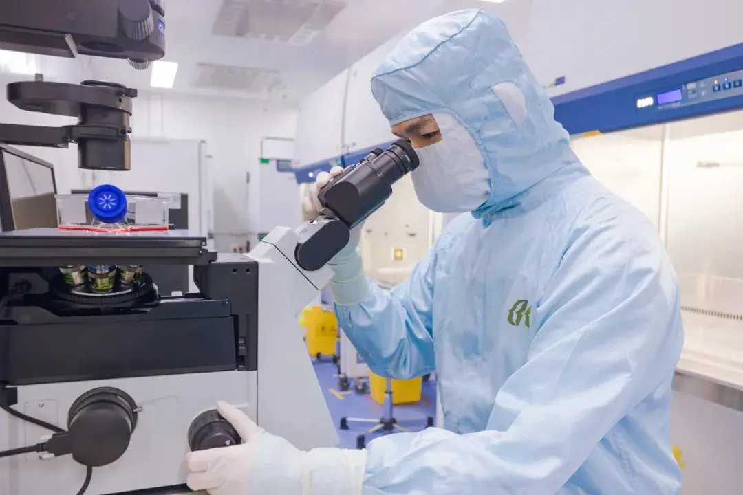 Un tehnician Beike într-un costum steril de cameră curată examinează celule stem cultivate la microscop
